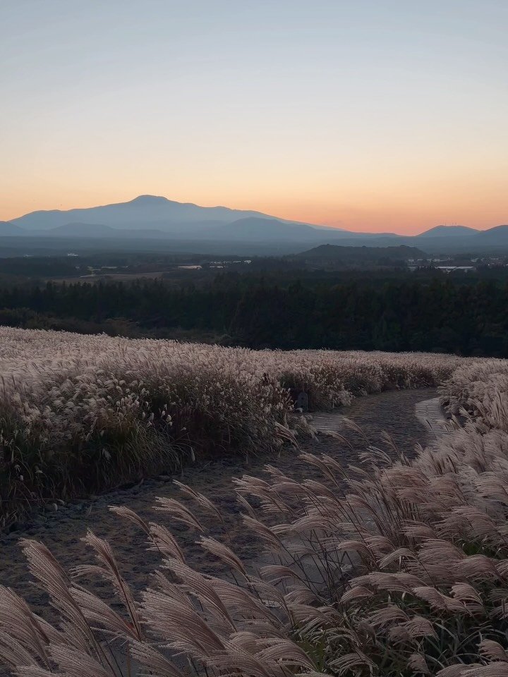 jejumini 게시물 이미지: (실시간) 10월의 마지막 일몰

시간이 얼마나 빠른지 벌써 10월의 마지막...