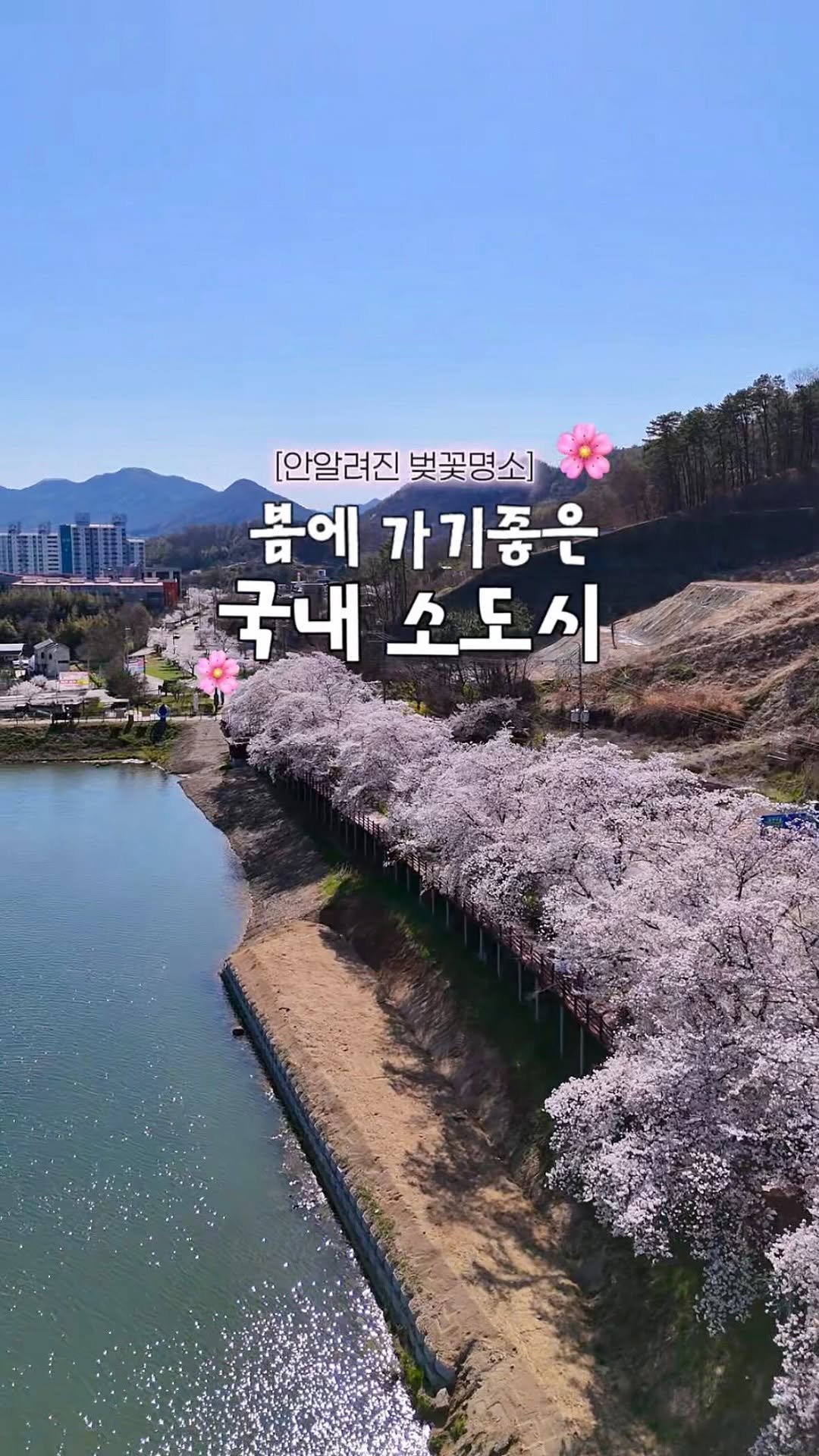 jello_haa 게시물 이미지: 보석같은 국내소도시 당일치기🫧💗 알려지지 않은 벚꽃명소까지🌸 

#옥천군 X...