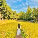 jello_haa 인스타그램 프로필 사진