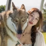 jelly_the_wolf 인스타그램 프로필 사진