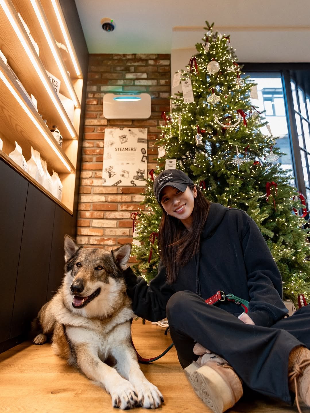 Photo by Camila & Jelly on December 09, 2025. May be an image of dog, christmas tree, fur and text that says 'RS 25 STEAMERS'.