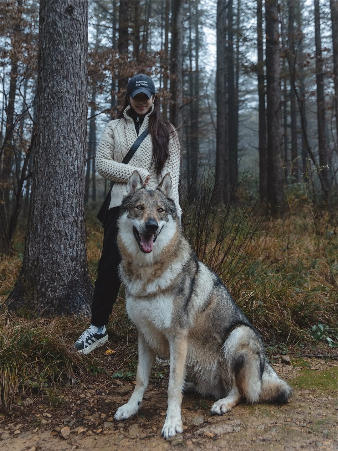 Photo by Camila & Jelly on October 22, 2025. May be an image of wolf, outdoors and text.