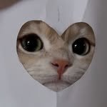 daxxni_ 프로필 사진