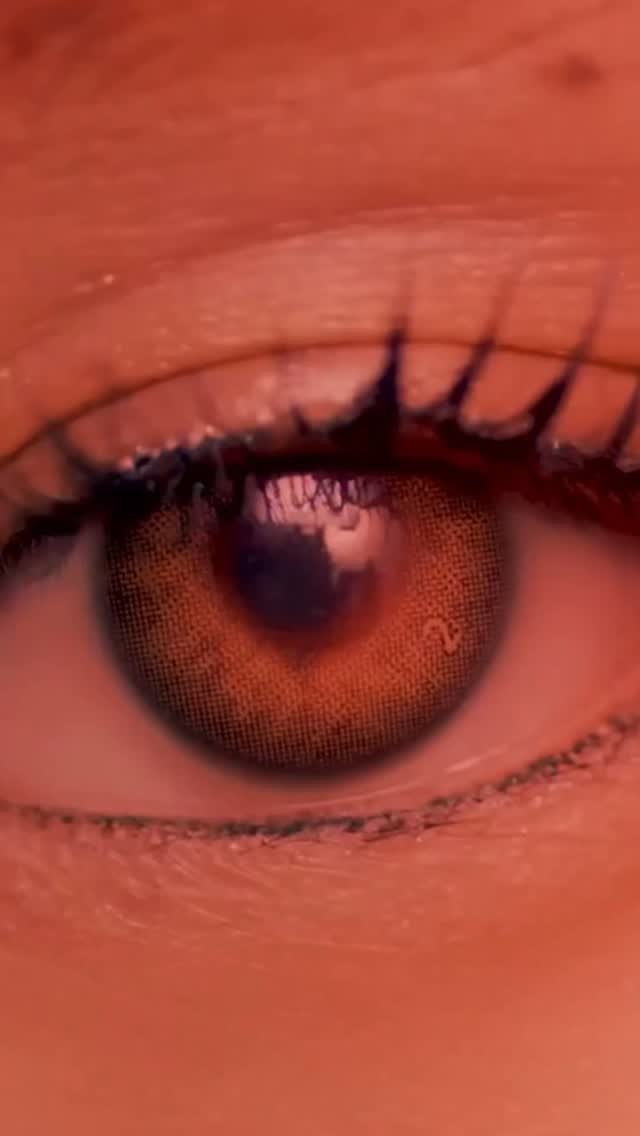 jennie_hq 게시물 이미지: 1 Year of Ruby ♥️ Celebrate with The Complete...