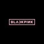 blackipnkofficial 프로필 사진