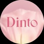 dinto_cosmetic 프로필 사진
