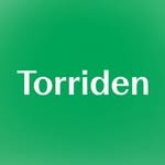 torriden_official 프로필 사진