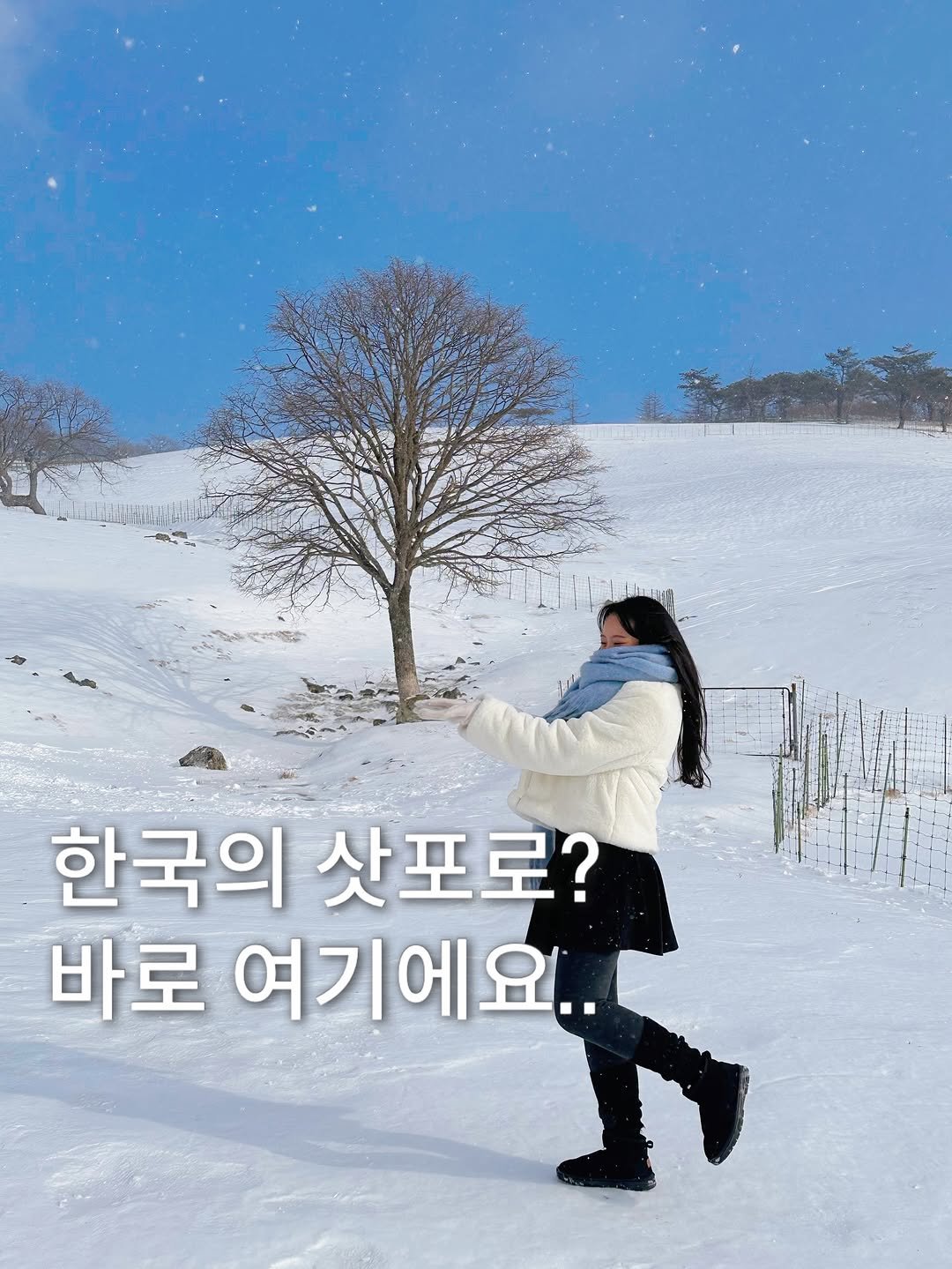 Photo by 기록했젼 | 데이트코스 • 여행 • 이색핫플 on December 16, 2025. May be an image of snow and text that says '한국의 삿포로? 바로 여기에요..'.