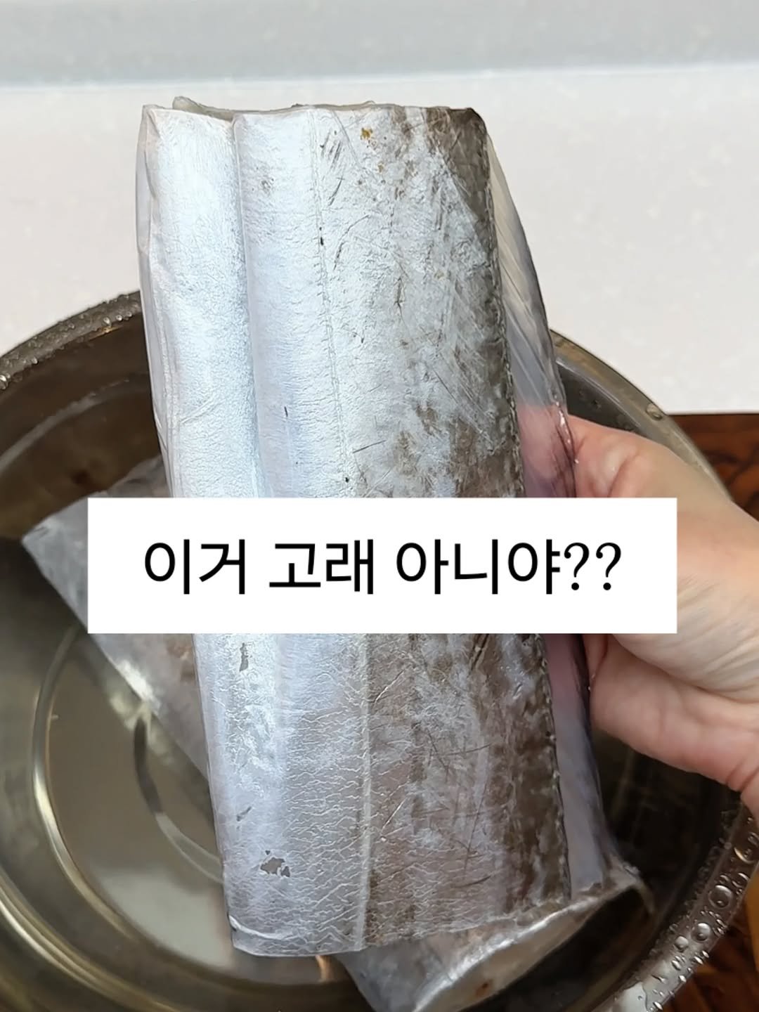 Photo by 저녁이 l 레시피 · 요리 · 다이어트 on April 21, 2026. May be an image of fish and text that says '이거 고래 아니야??'.