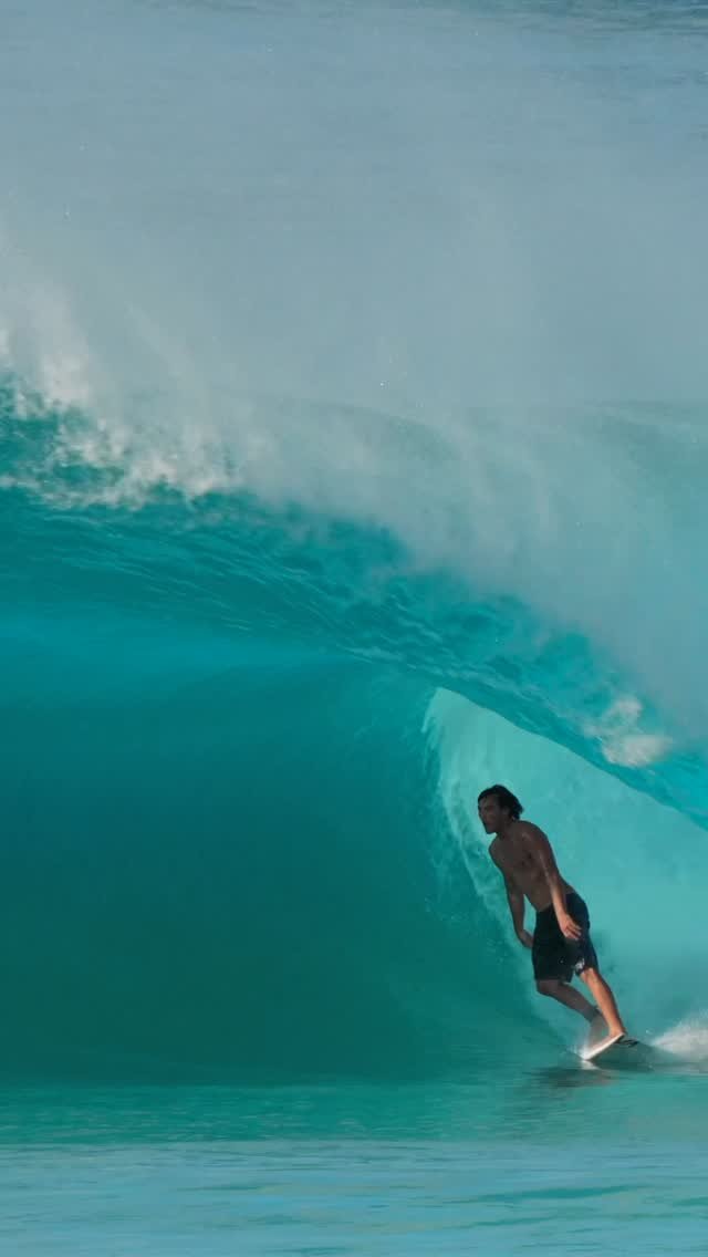 jesselittlecreative 게시물 이미지: We will never know. 

@barronmamiya