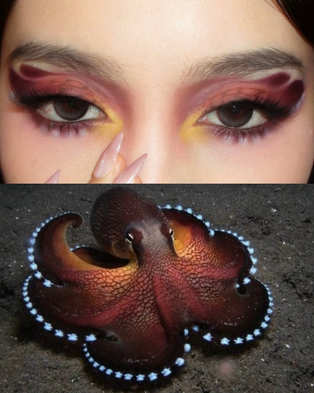 jessyluxe 게시물 이미지: makeup inspired by coconut octopus 🐙 i saw a...