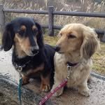 autocycle510 프로필 사진