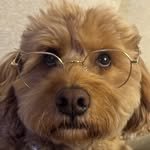 byunyohan_official 프로필 사진