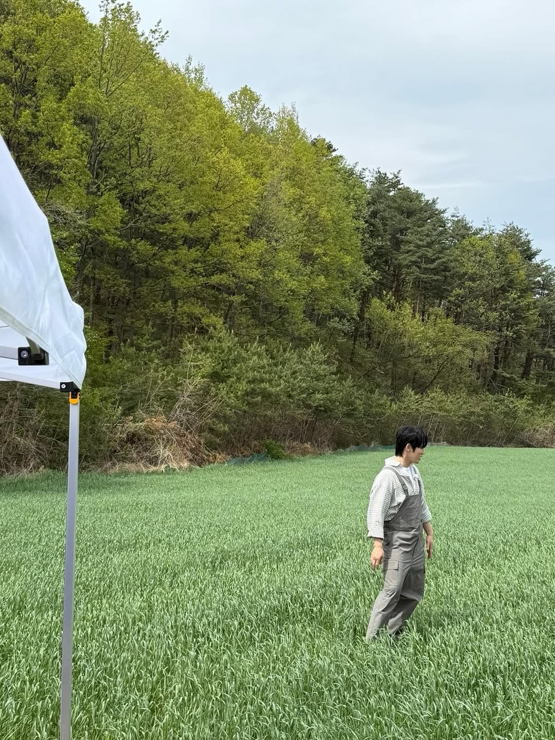 Photo by 김정현 on June 22, 2025.