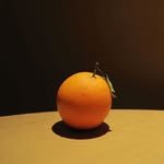 chenxingxu_0331 프로필 사진