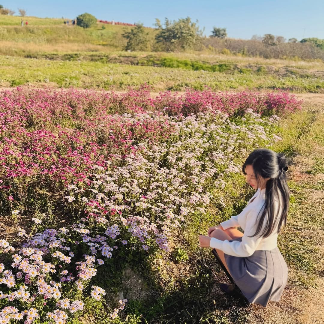 ji__wonnny 게시물 이미지: 🌸