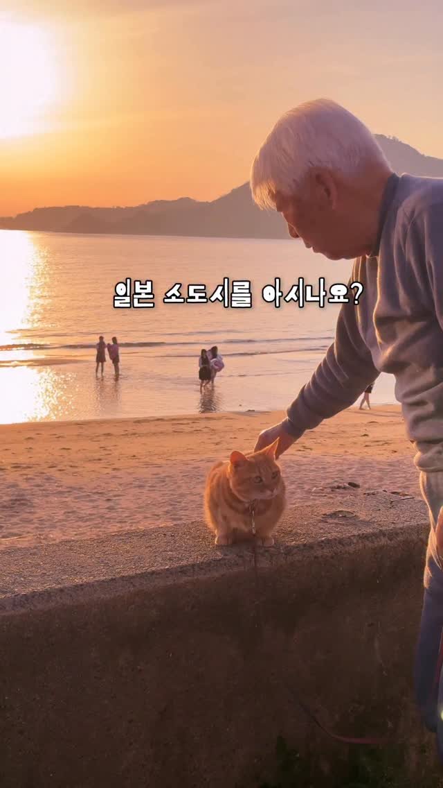ji_bbling 게시물 이미지: 직항 1시간 20분✈️ 아는 사람만 몰래간다는 일본 소도시

🇰🇷한국인만 공짜 혜택...