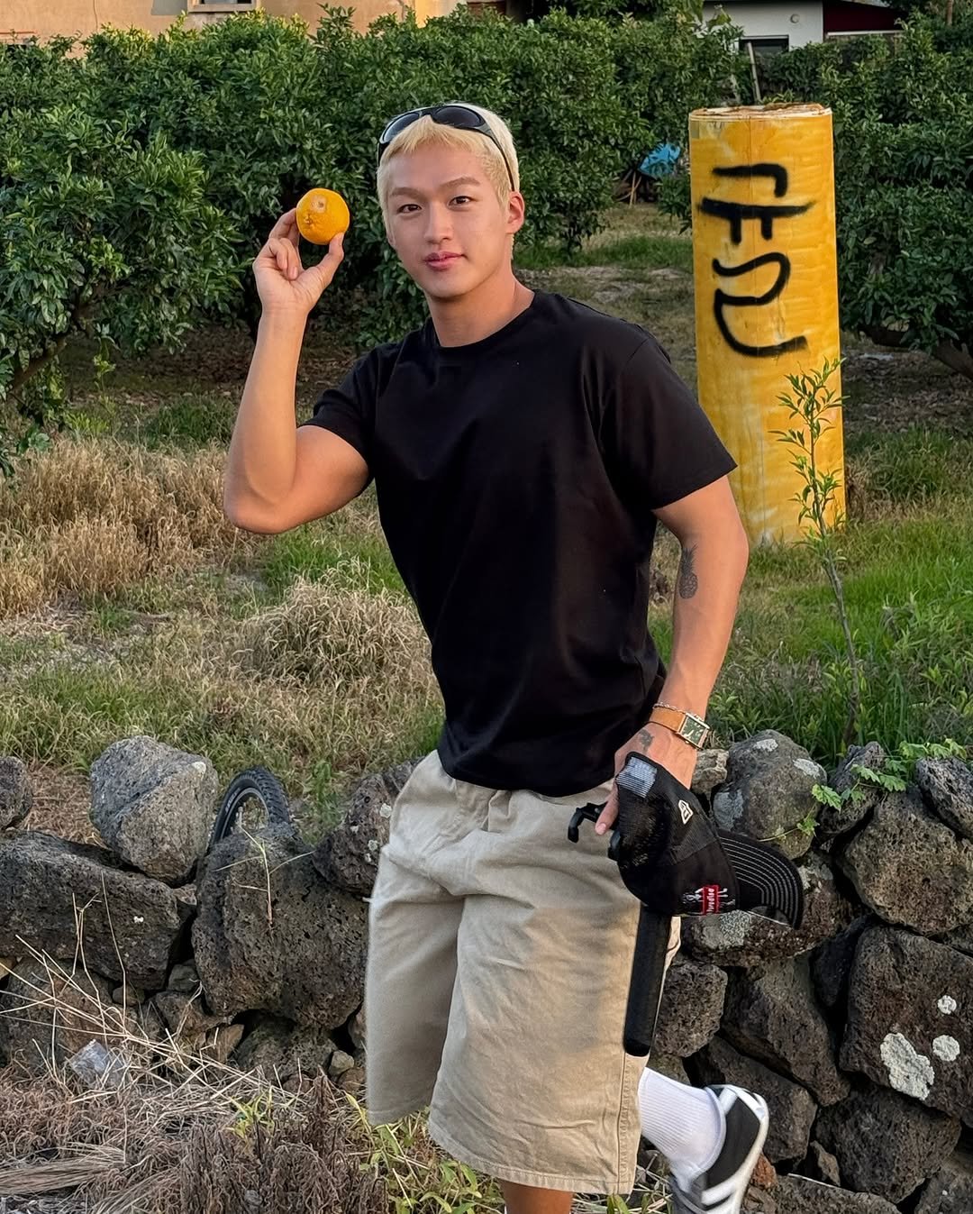 Photo by 지상근 / JIDAOL(지다올) on August 11, 2025. May be an image of 1 person, mango, outdoors and text.