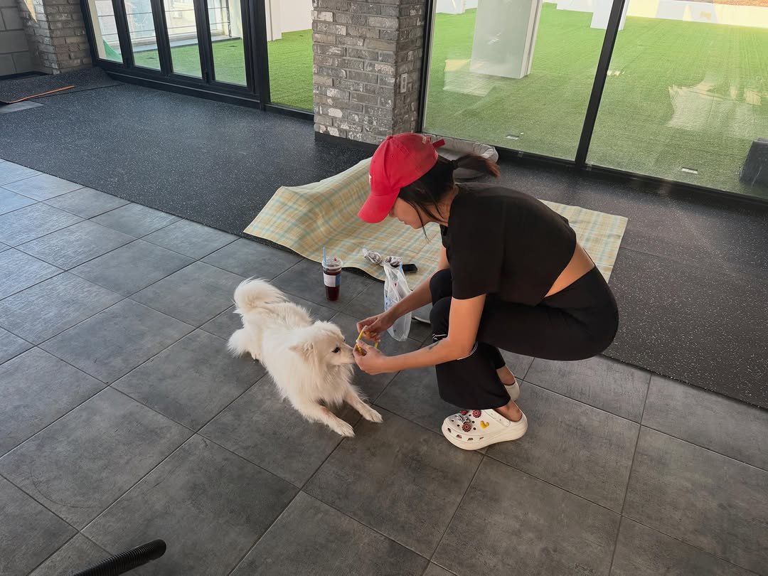 ji_yeon_baekkk 게시물 이미지: 귀여운 목걸이 생겼다개 🐶🐾