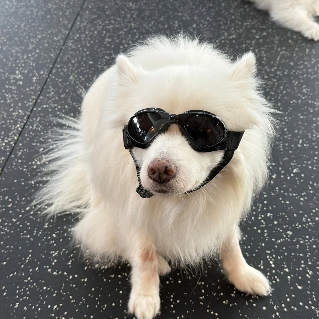 ji_yeon_baekkk 게시물 이미지: 나 좀 멋있뉘 ? 😎