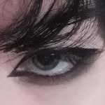 holland_vvv 프로필 사진