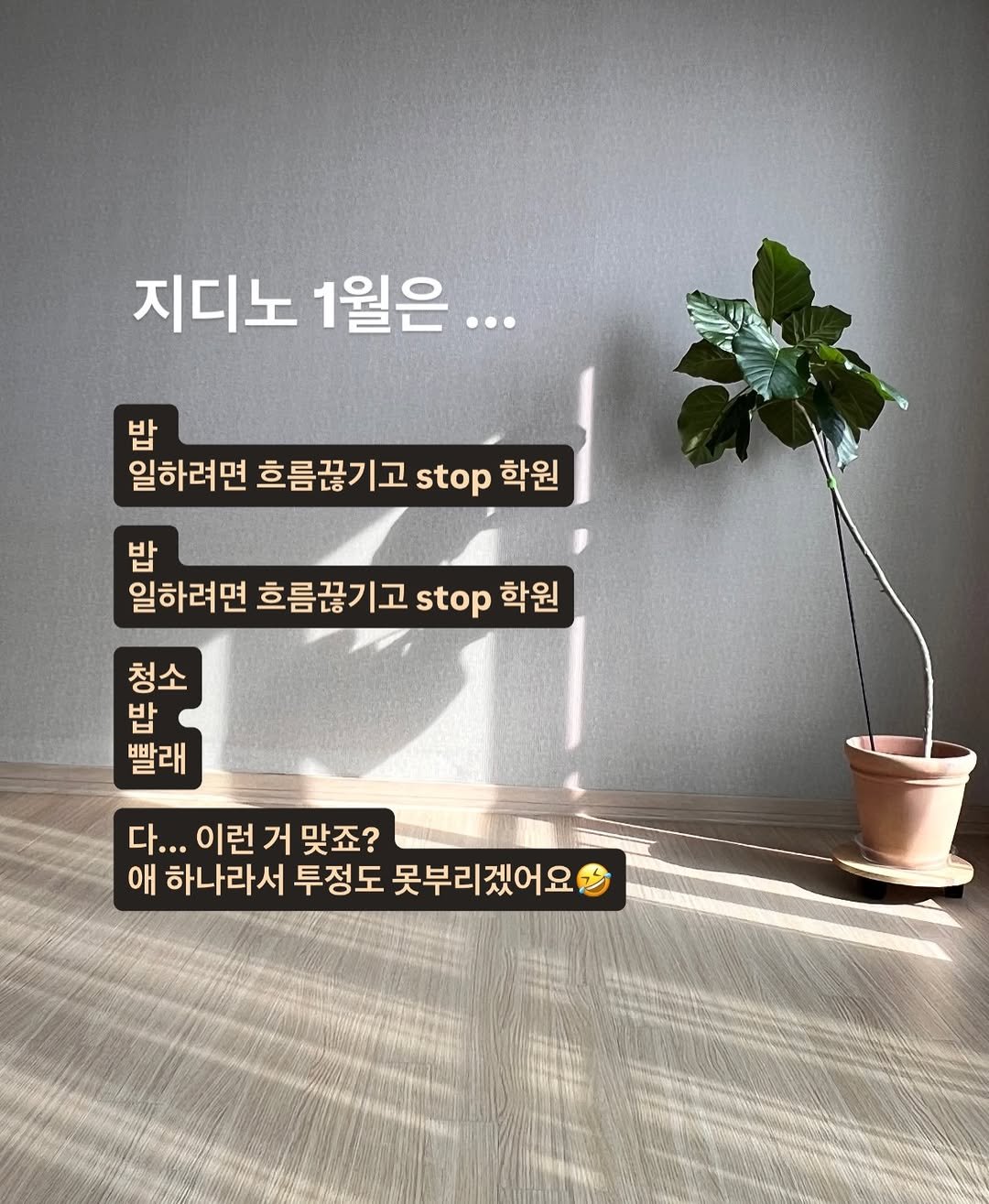 Photo by 지디노 | 살림소생 | 청소 살림팁 on February 05, 2026. May be an image of pie, baby's-breath and text that says '지디노 1월은... 밥 일하려면 흐름끊기고 stop 학원 밥 일하려면 흐름끊기고 stop 학원 청소 밥 빨래 다.. 다...이 다...이런거맞죠? 이런 거 맞죠? 애 하나라서 투정도 못부리겠어요'.