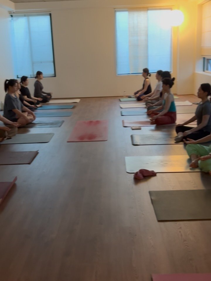 jieun.yoga 게시물 이미지: 그저 숨.
스와스티야에서 하타요가 함께해요 🫸🏾🫷🏾