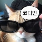 _cody_min 프로필 사진