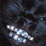 imnotningning 프로필 사진