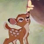 jihoon 인스타그램 프로필 사진