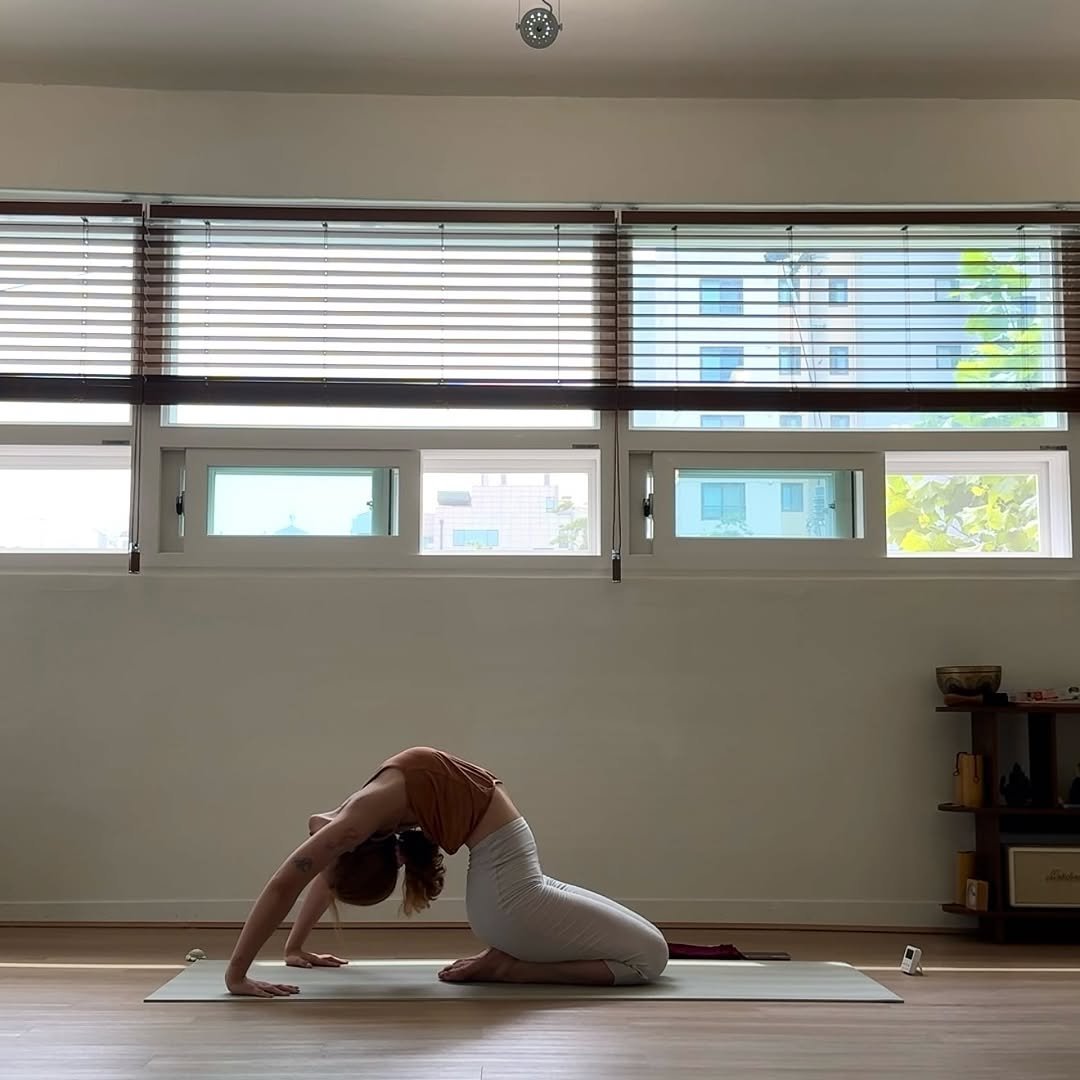 Photo shared by 또, 요가 | 져니요가🕉 on August 11, 2025 tagging @ddo.yoga. May be an image of 1 person, practicing yoga, activewear and text.