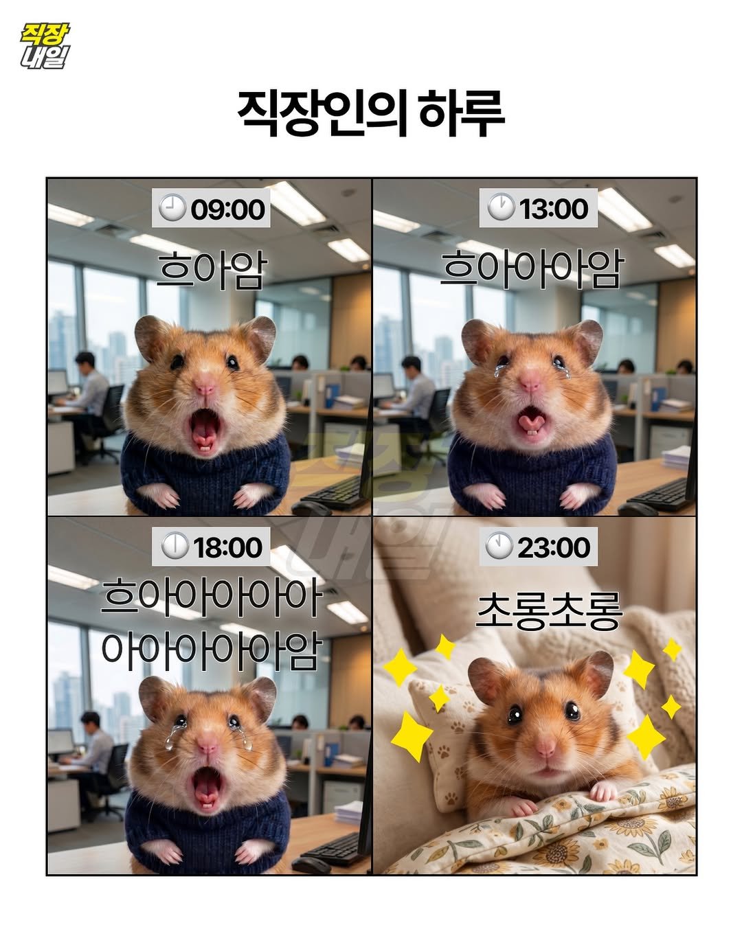 jikjangnaeil 게시물 이미지: 어제 일찍 안 잔 나를 원망하고, 미워하고, 분노하고, 분개하고, 절망하고,