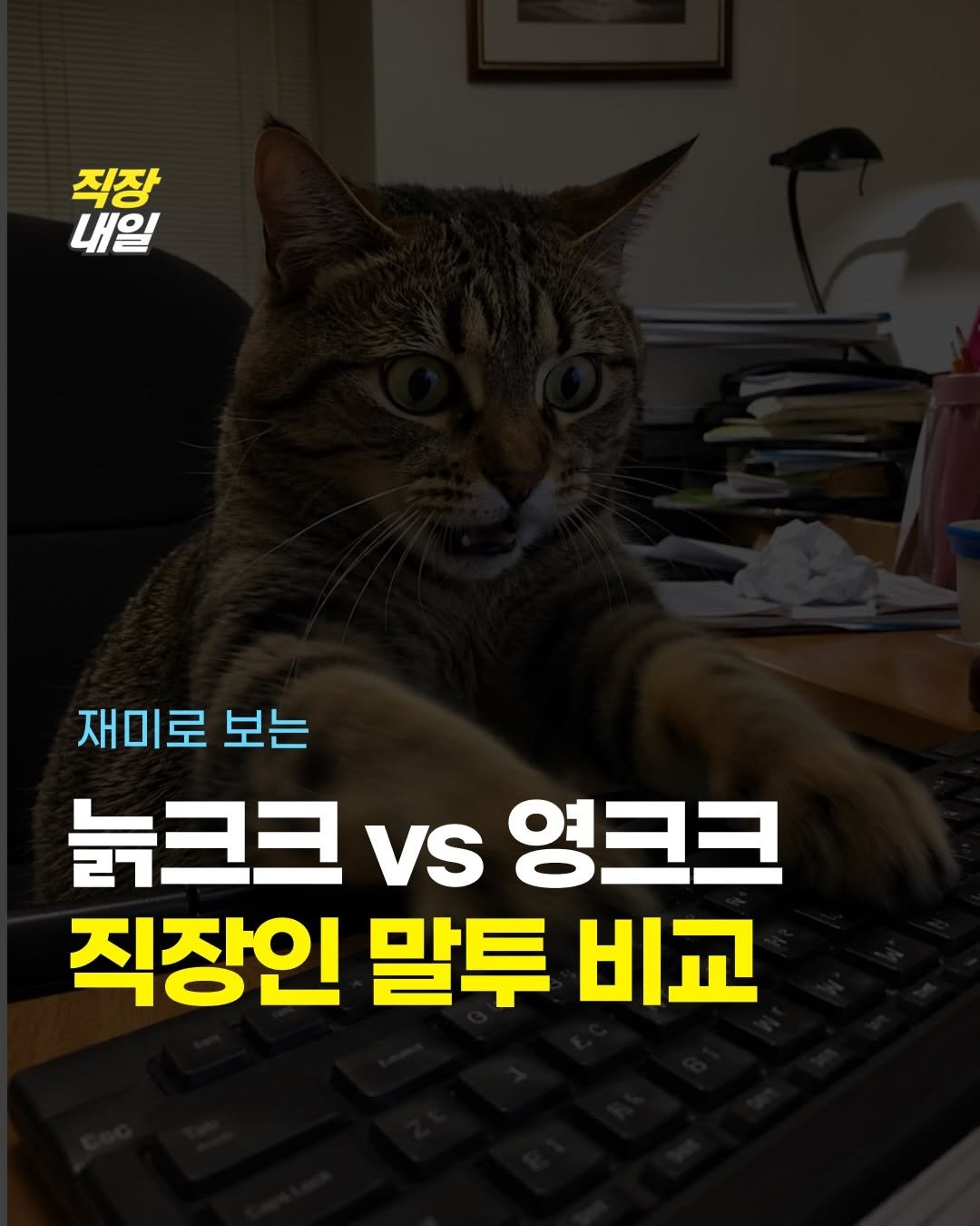 jikjangnaeil 게시물 이미지: 재미로 보는 말투 비교~^^~~