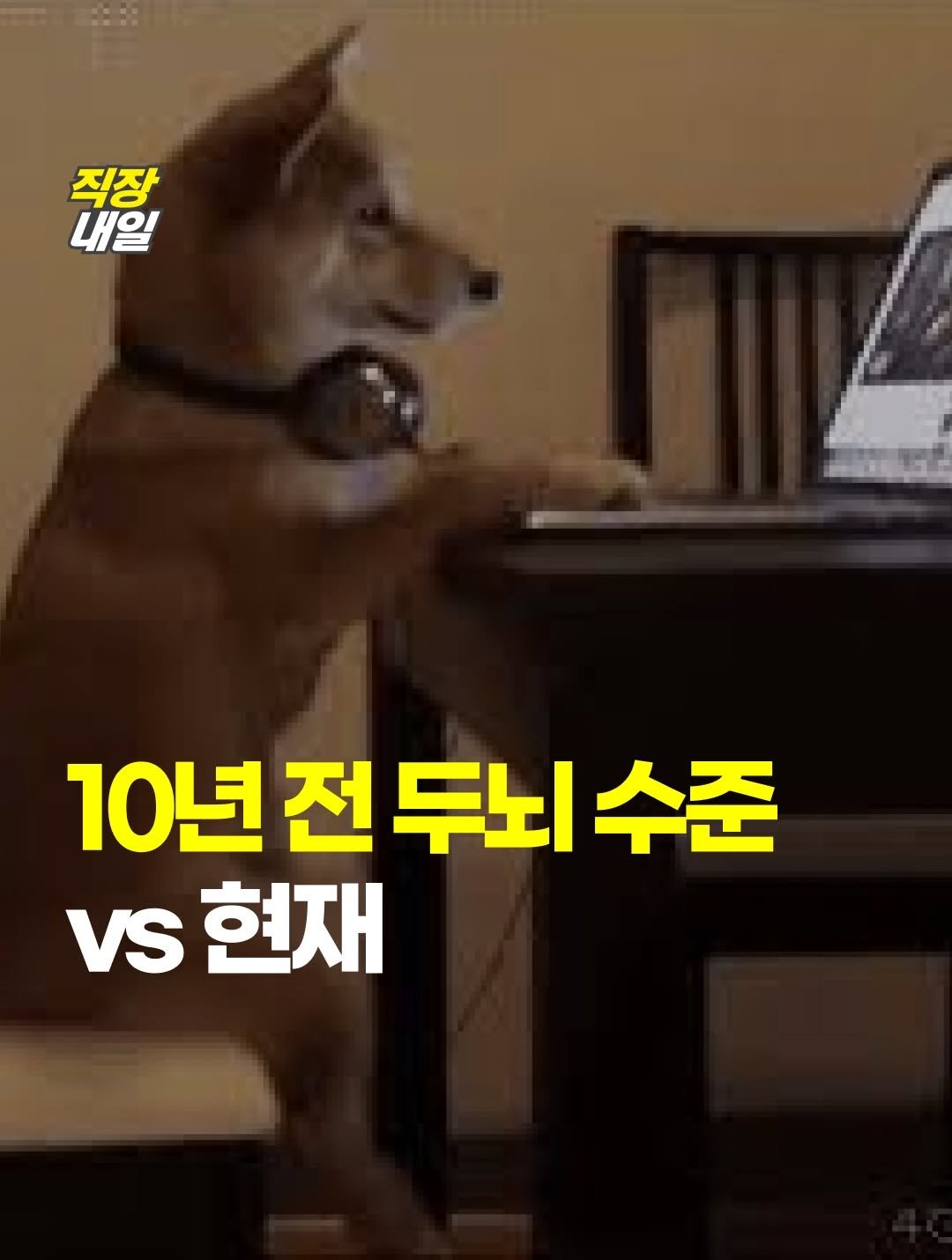 jikjangnaeil 게시물 이미지: Ai랑 숏츠가 내 지능 다 뺏어감 ㅠ