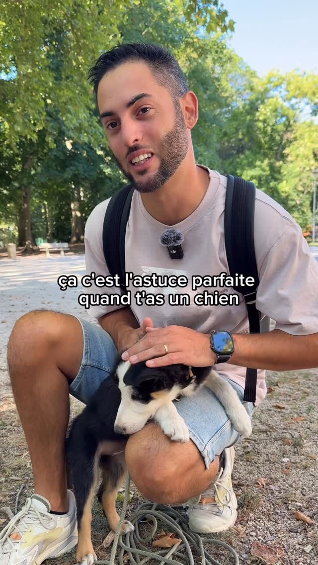 jimmy_laura_astuces 게시물 이미지: Astuce en promenade avec ton chien 🐶 #astuce