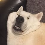 rkive 프로필 사진