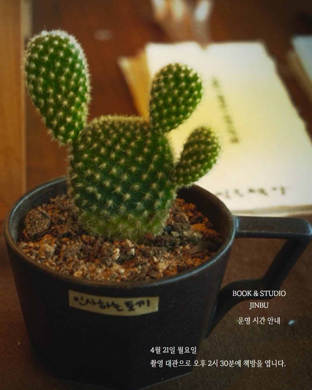 Photo by 진부책방스튜디오 on April 17, 2025.