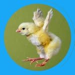 talbbi_ 프로필 사진