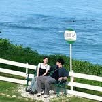 bbeotrip 프로필 사진