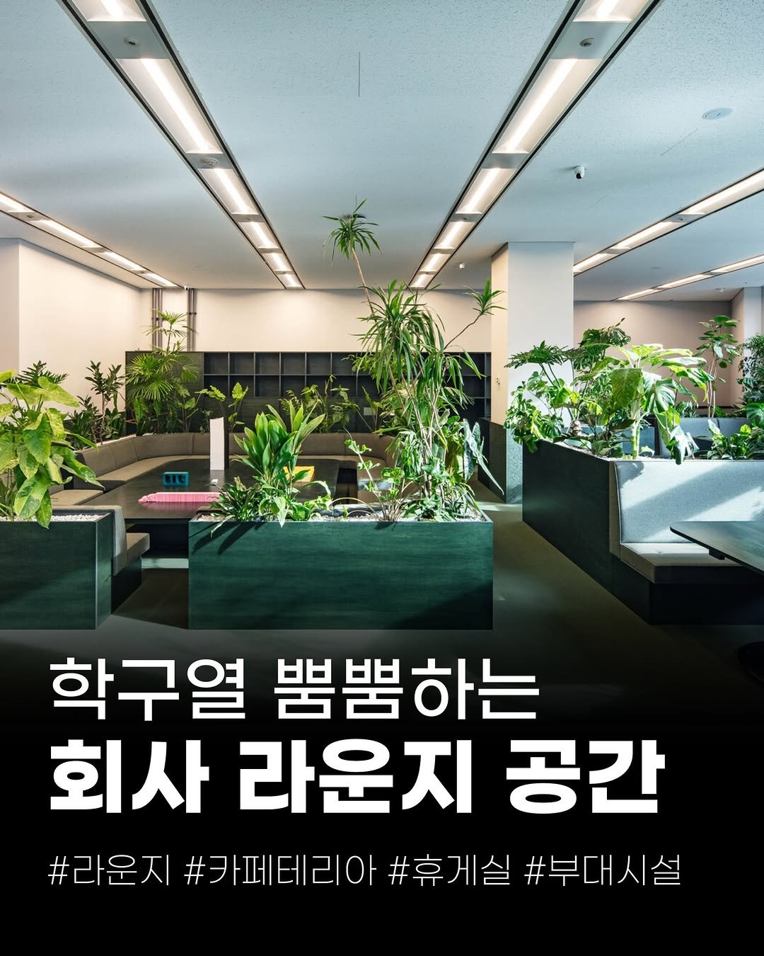 Photo by (주)진비엔씨 인테리어 | 종합 인테리어 컨설팅 on March 13, 2026. May be an image of plant and text that says '학구열 뿜뿜하는 회사라운지공간 회사 라운지 공간 #라운지 #카페테리아 #휴게실 라운지#카페테리아#후게실#투대시슬 #부대시설'.