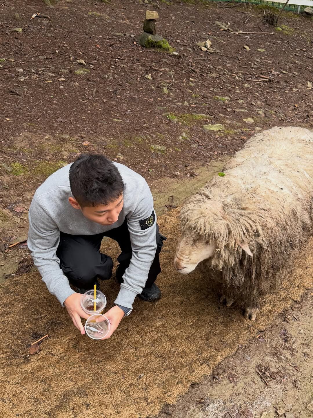 Photo by 진돗개 on October 11, 2025.
