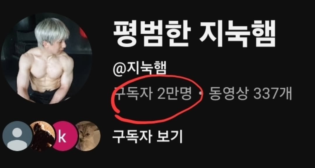 Photo by 평범한 지눅햄 on August 21, 2025. May be an image of 1 person and text that says '평범한 지눅햄 @지눅햄 (독자 독자 2만명 구독자 구독자보기 보기 k 동영상 동영상337개 337개'.
