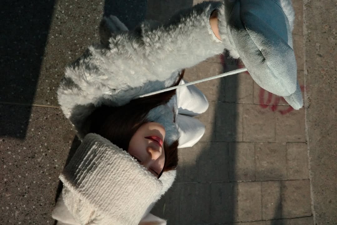 Photo by 진숭이🐒 on December 10, 2025.