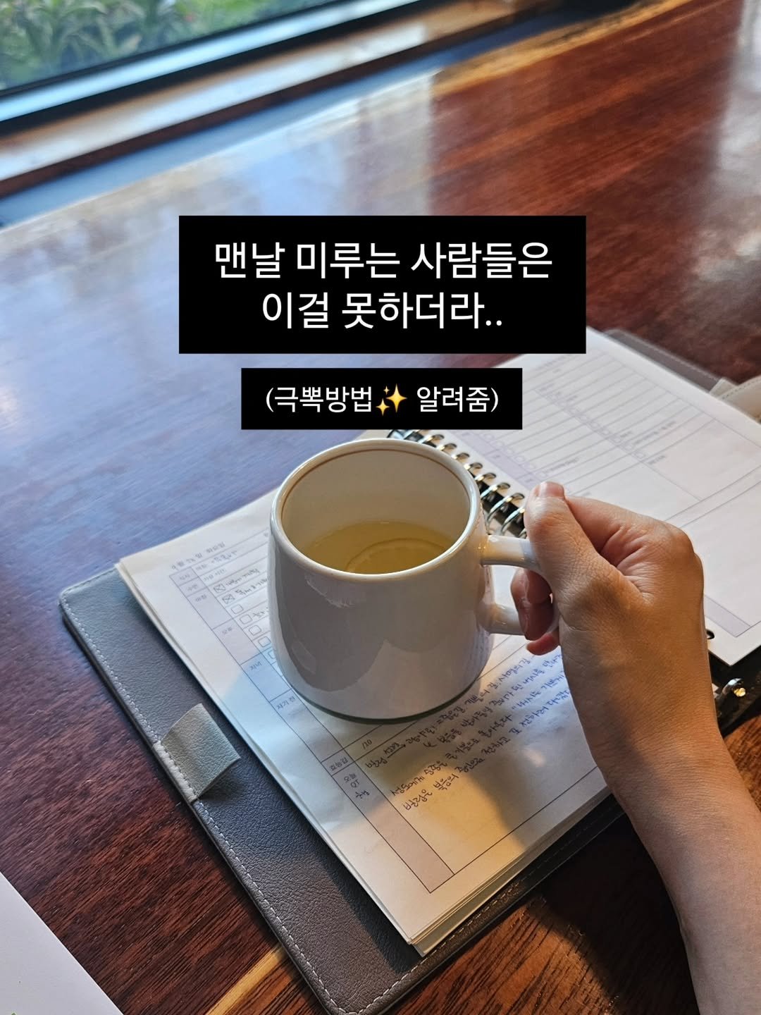 Photo by 진가예ㅣ마인드셋, 브랜딩 on September 23, 2025. May be an image of ‎text that says '‎소심 맨날 미루는 사람들은 이걸 못하더라.. (극뿍방법 알려줌) ห.นา r ትርክስ 보기 인여다! MY0 اوتنب 부숭의 년장을‎'‎.
