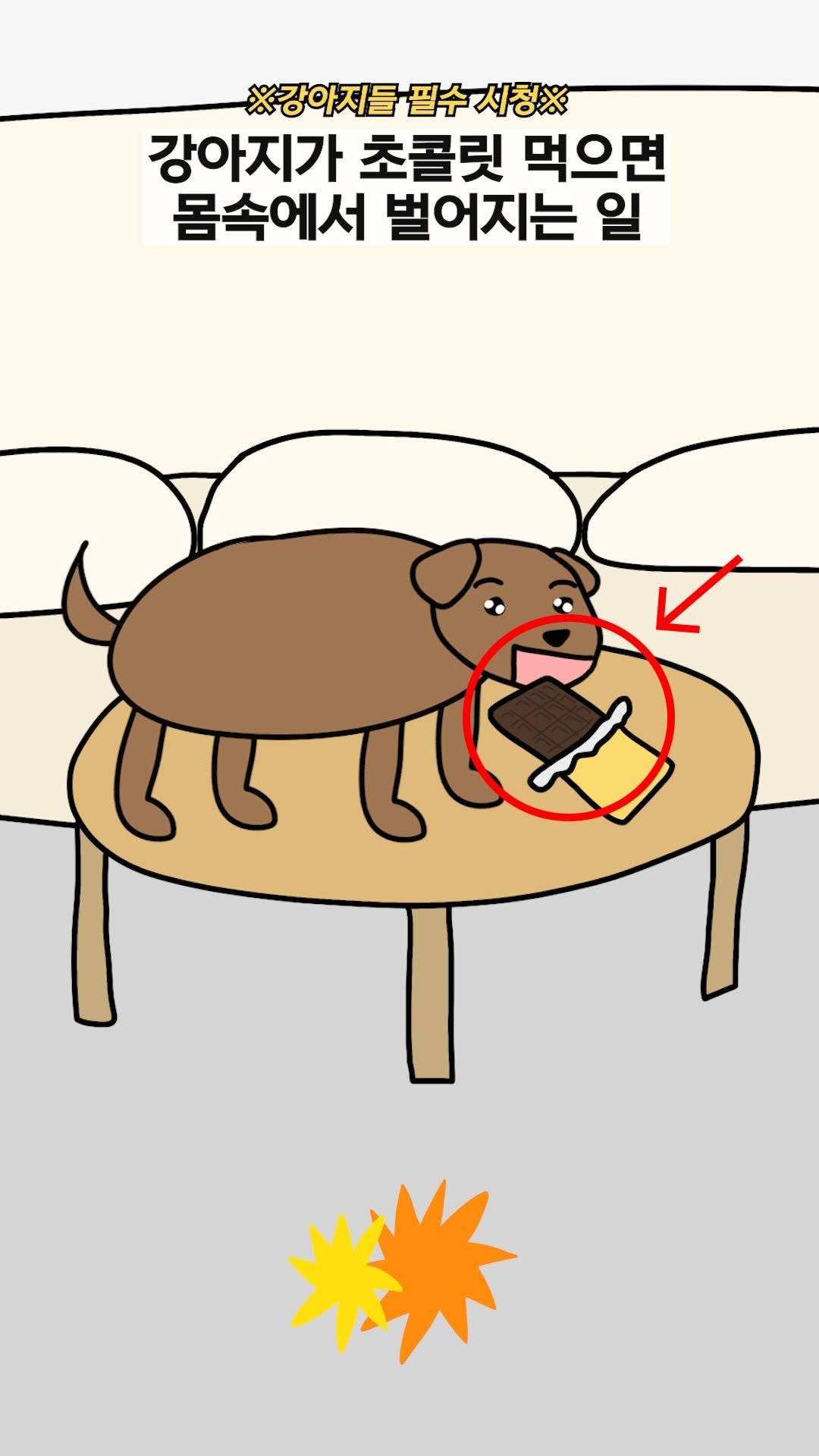 jinkimgyu 게시물 이미지: 주변에 아는 강아지들 태그@@
강아지🐶가 초콜릿🍫먹으면 몸속에서 벌어지는...