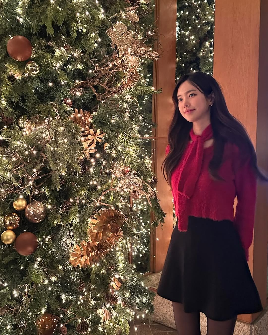 Photo by 진세연 on December 25, 2024.