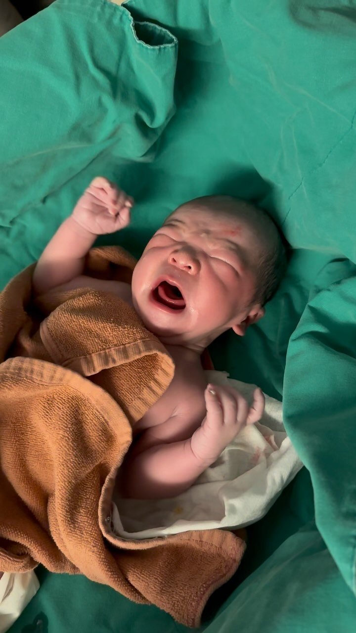 jisu_table 게시물 이미지: 2024. 06. 26. pm.19:17 3.2kg
유로단하 동생 하동이 건강하게...