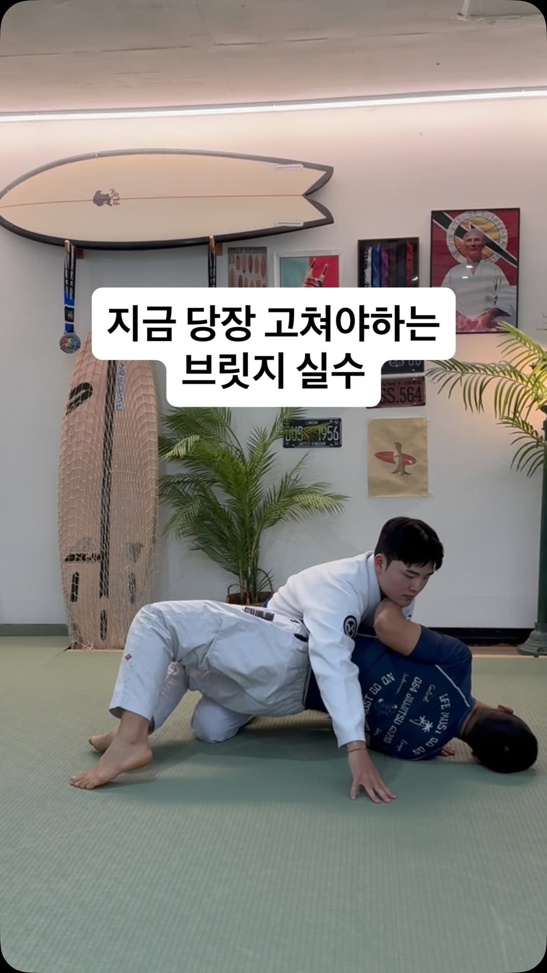 jiujitsurf_academy 게시물 이미지: 오늘은 많은 초급자들이 하는 브릿지 실수를 다뤄봤습니다

연습을하고 스파링을 하는...