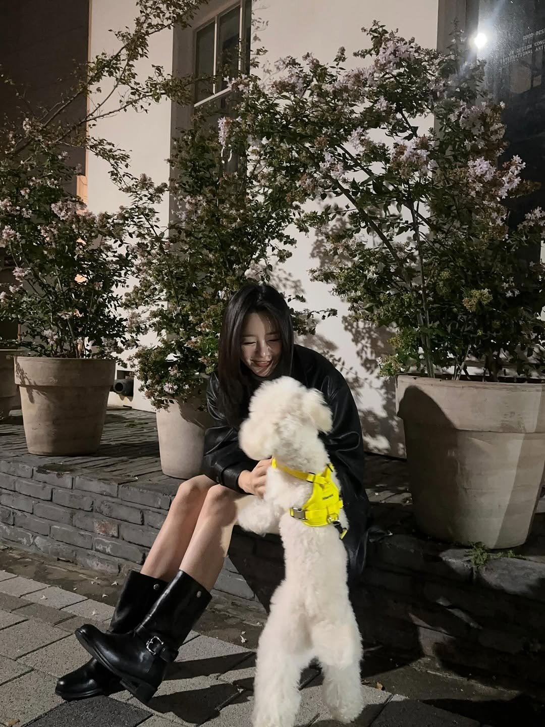 Photo shared by 지 원 on October 16, 2025 tagging @modiattico_official. May be an image of Bedlington terrier, Maltese and text.