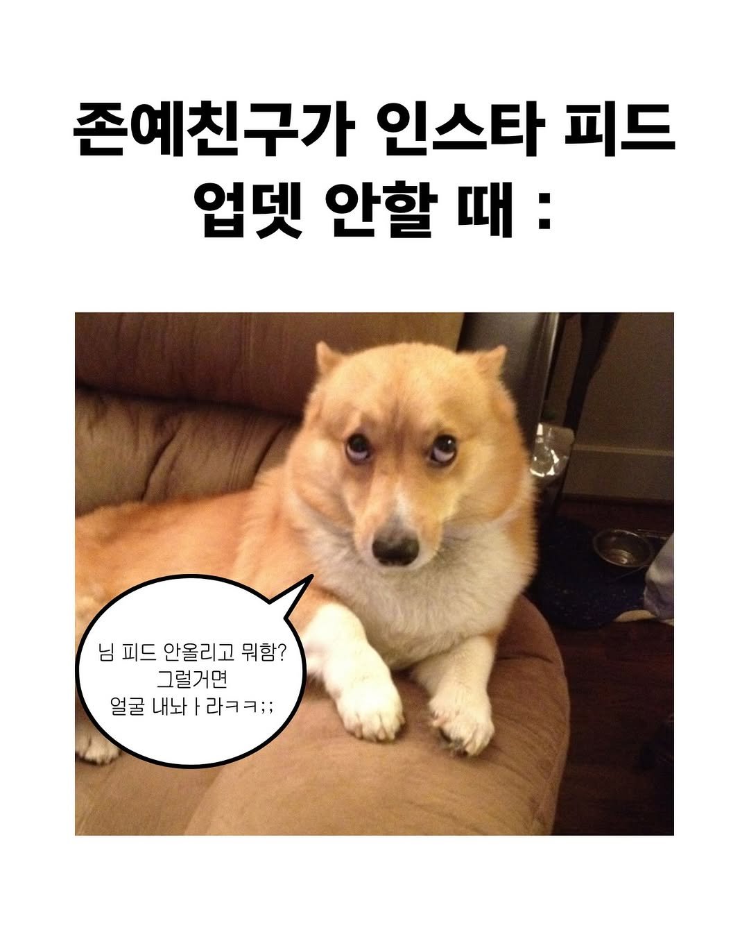 jiwondm_028 게시물 이미지: @@ㅃㄹ사진올리셈;;;;;

더 많은 꿀팁, 재밌는 소식은 
@jiwondm_028...